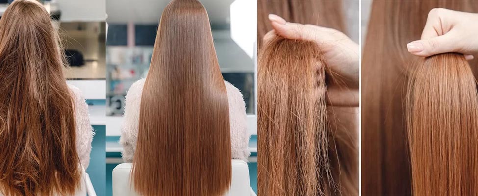  تفاوت نانو پروتئین و پروتئین چیست 